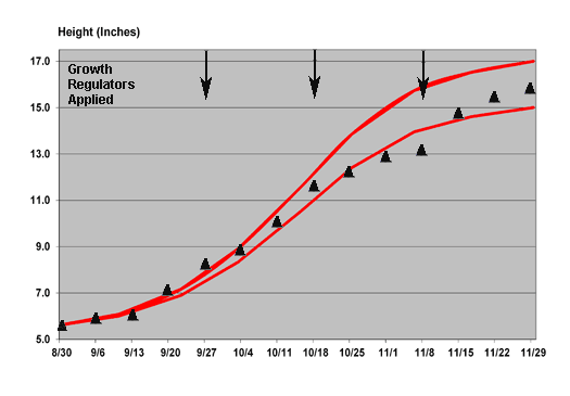 2011 growth chart for Prestige Red poinsettia