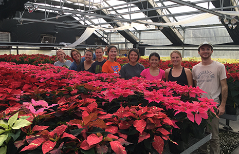 Environmental Horticulture Club with Poinsettias