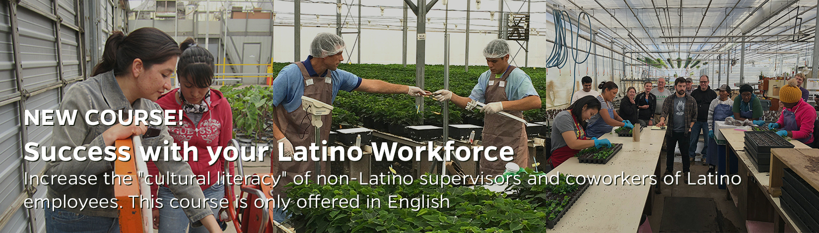 NEW COURSE! Success with your Latino Workforce: Increase the 