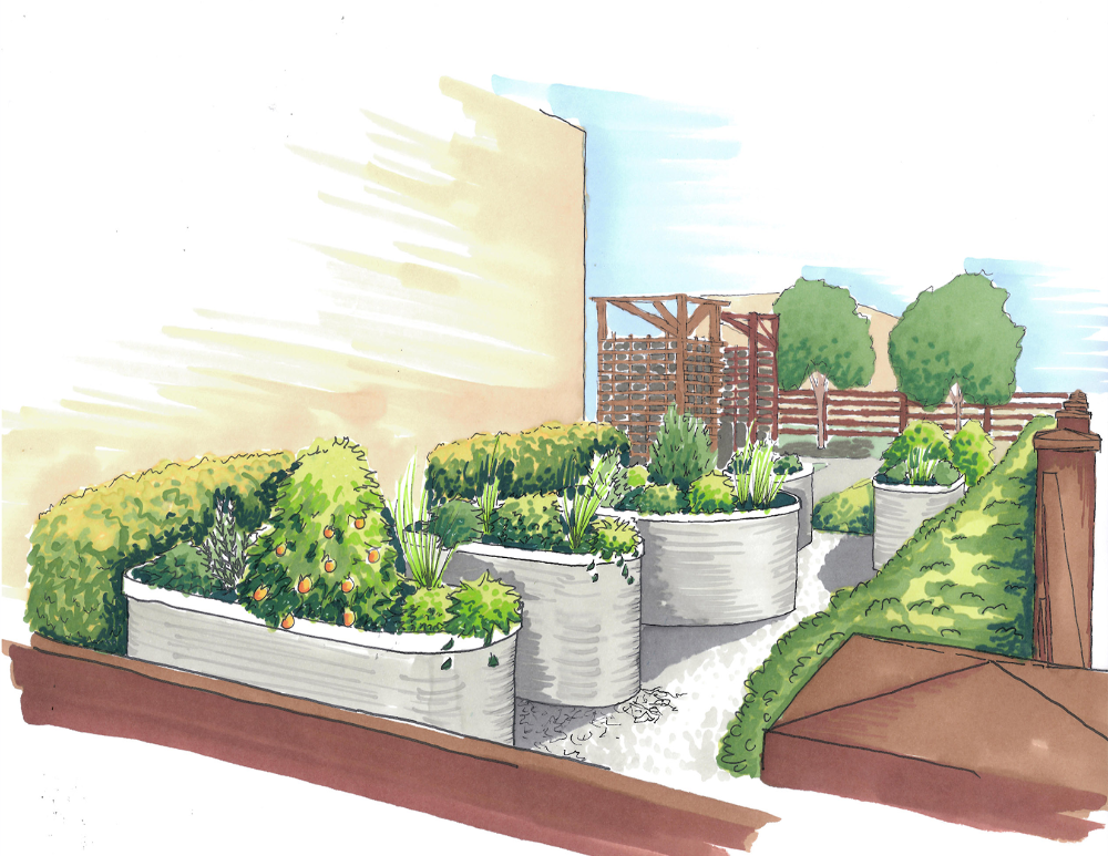 Hastings Edible Garden proposed raised beds