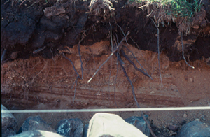 sharp soil boundaries may indicate drainage problem