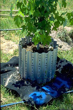 accelerator container used to test air pruning