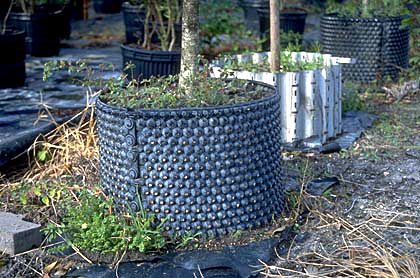 air pruning container