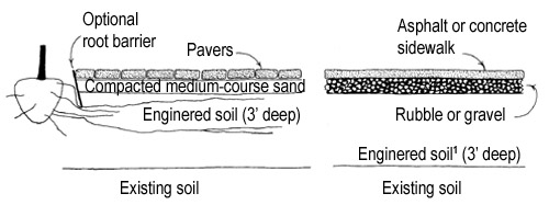 engineered soil diagram