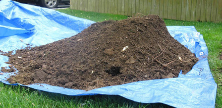 soil and mulch removed from the tree pictured above