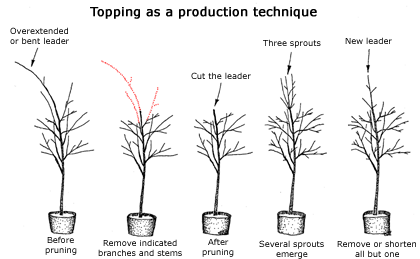 toping as a production technique  illustration