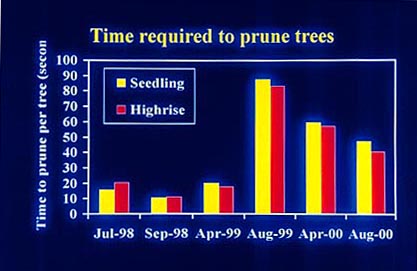 time required to prune trees slide