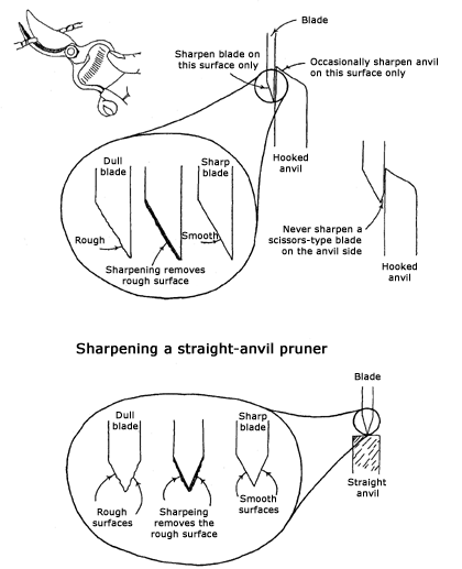 sharpening blades