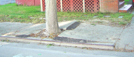 cracked raised sidewalk