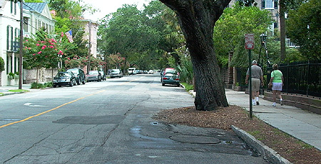 tree against street