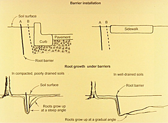 barrier installation illustration