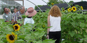 Sunflower trial field day group