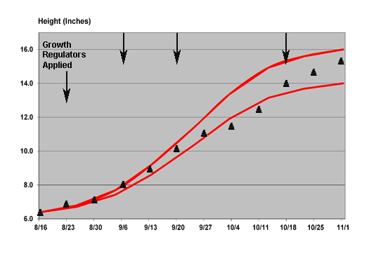 2011 growth chart for Advent Red Natural Days poinsettia