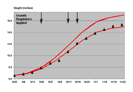 2011 growth chart for Ice Punch poinsettia