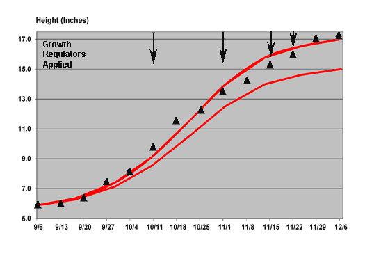 2011 growth chart for Jubilee - 1139 Delayed poinsettia