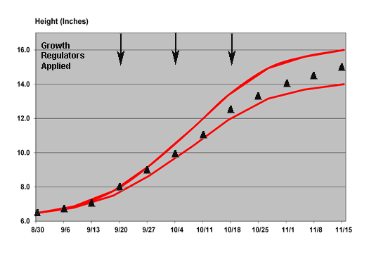 2011 growth chart for Orion Red poinsettia