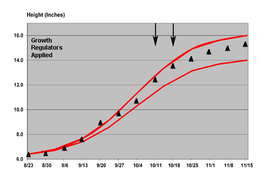 2011 growth chart for Prestige Early Red poinsettia