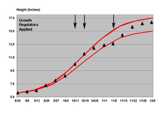 2011 growth chart for Soltice Red poinsettia