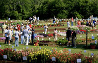 Floriculture field day at the trial garden