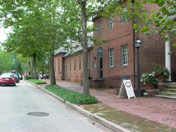 urban street scene with tree-lined sidewalk