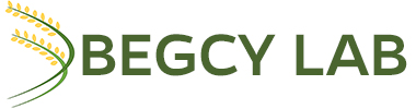 Begcy Lab logo