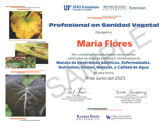 Certificado de Profesional en Sanidad Vegetal