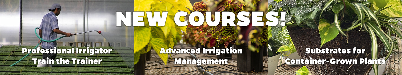 New Courses! Professional Irrigator Train the Trainer, Advanced Irrigation Management, Substrates for Container-Grown Plants