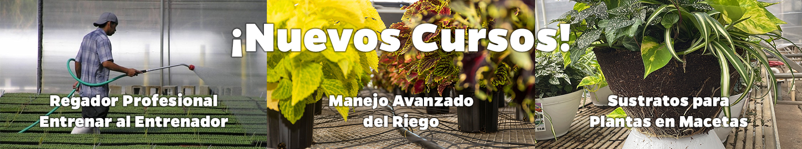 Neuvos cursos! Regador Profesional Entrenar al Entrenador, Manejo Avanzado del Riego, Sustratos para Plantas en Macetas