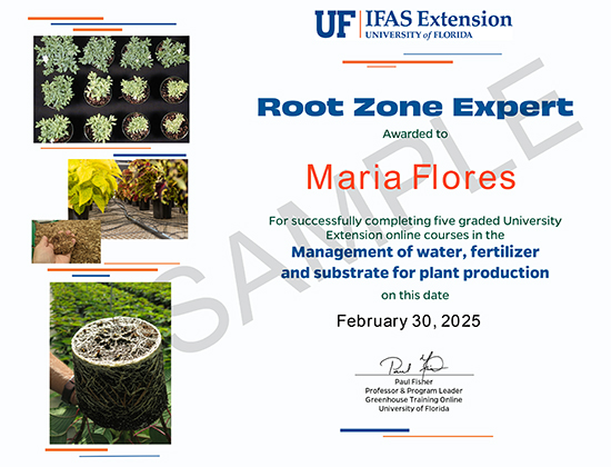 Root Zone Expert Online Certificate sample