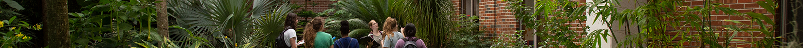 Undergraduate students in the Gardens of Fifield. 