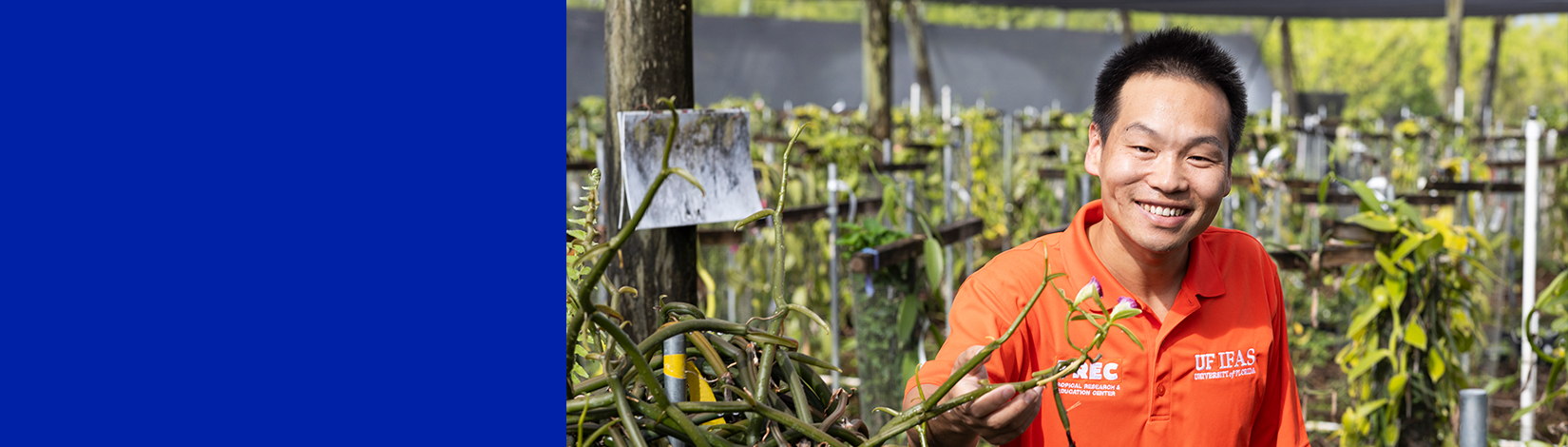 Dr. Xingbo Wu, UF scientist, honored with ASHS Early Career Award for genetic advances in vanilla, hibiscus and hydrangeas