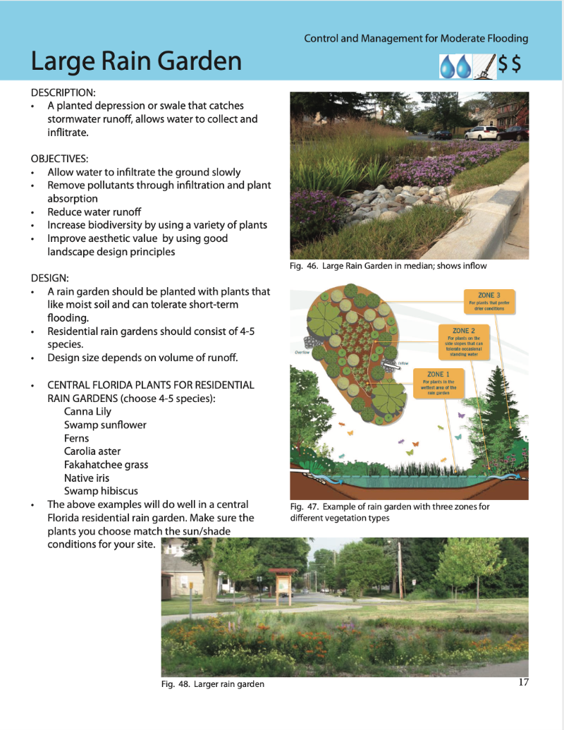 Control and Management of Stormwater Page on Rain Gardens