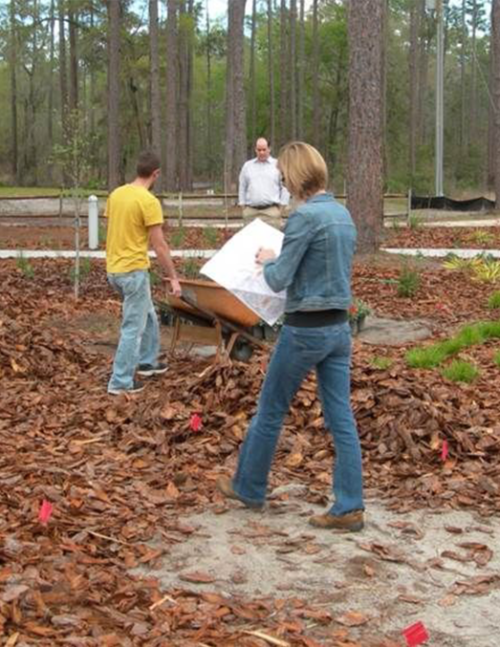 UF IFAS Austin Carey Forest Students help install plants