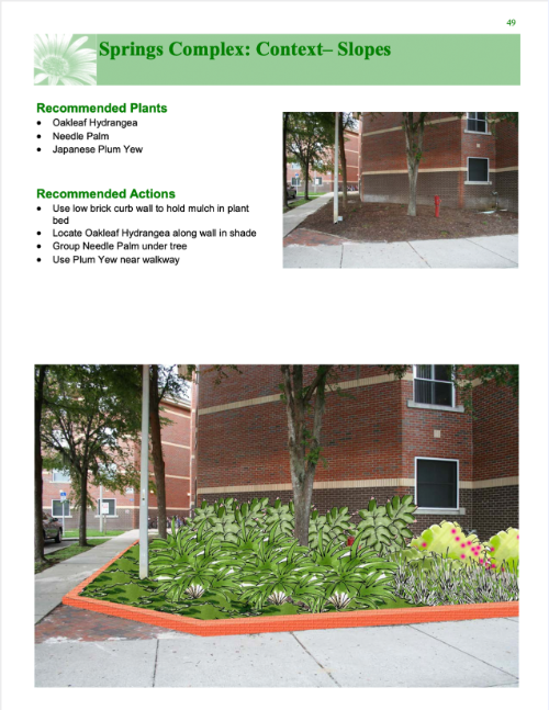 UF Housing typical page proposed planting for bare area