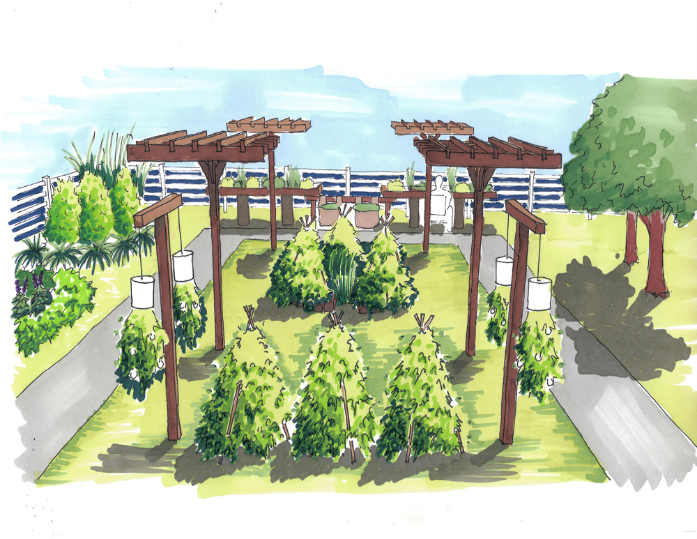 Hastings Edible Garden proposed trellis structures and pathway
