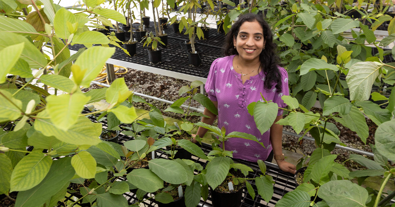 Dr. Swathi Nadakuduti