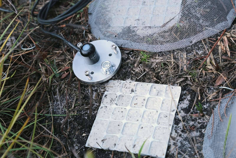 Taking light intensity readings in the field.