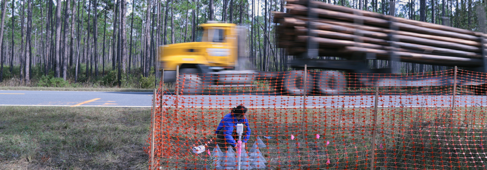 Truck speeds by as Amber Gardner collects data for the Seed Biology Lab