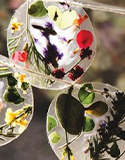 Create a Spring or Summer Suncatcher, Photo by Pinterest