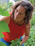 Expanding a Sense of Safety.Trauma & Trafficking Survivors, Photo by F. Hart, Lesley Fleming