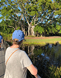 Person on nature walk. Photo by L. Fleming, Aloha Tropicals, Pond Megastore, Leaf Grace, Flowers of India, Better Homes & Gardens