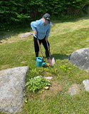 Guerilla Gardening