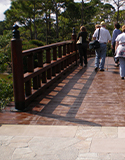 Public Garden's Walk for Wellbeing