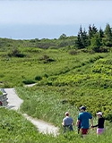 People walking a trail. Photo by L. Fleming, NC State Extension, Prairie Restorations, The Spruce