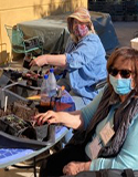 Seed Planting in Trays, Photo by Trish Hildinger