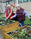community gardening, Photo by Milwaukee Journal Sentinel