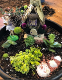 fairy garden planters, Photo by M. Lilley