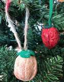 xmas ornament walnut strawberry - Photo by L. Fleming, Black Gizmo, Red Ted Art, S. Risenmay, M. Davod