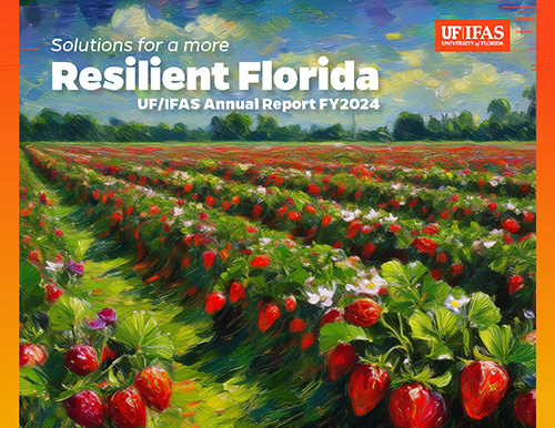 IFAS 2024 Annual Report