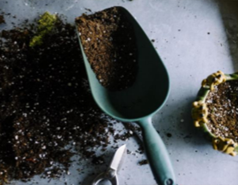 soil